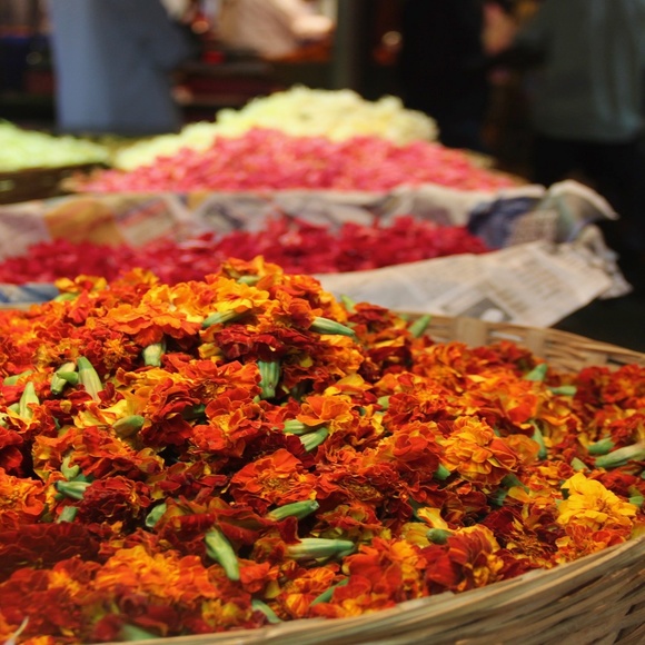 Meet your Posher, Kirk - Picture 1 of 1